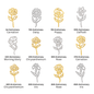 Happy Anniversary Flower Name Necklace
