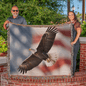 Bald Eagle Heirloom Woven Blanket